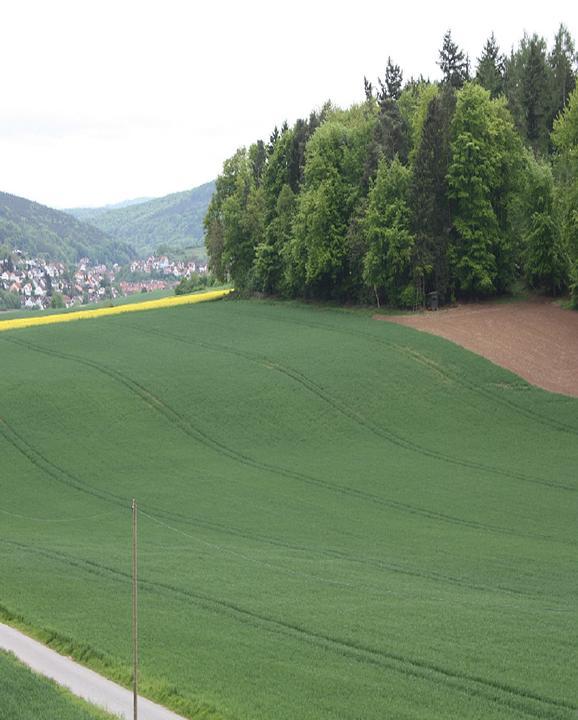 Gasthaus Waldesruh